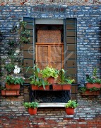 ITALY Window in Venice